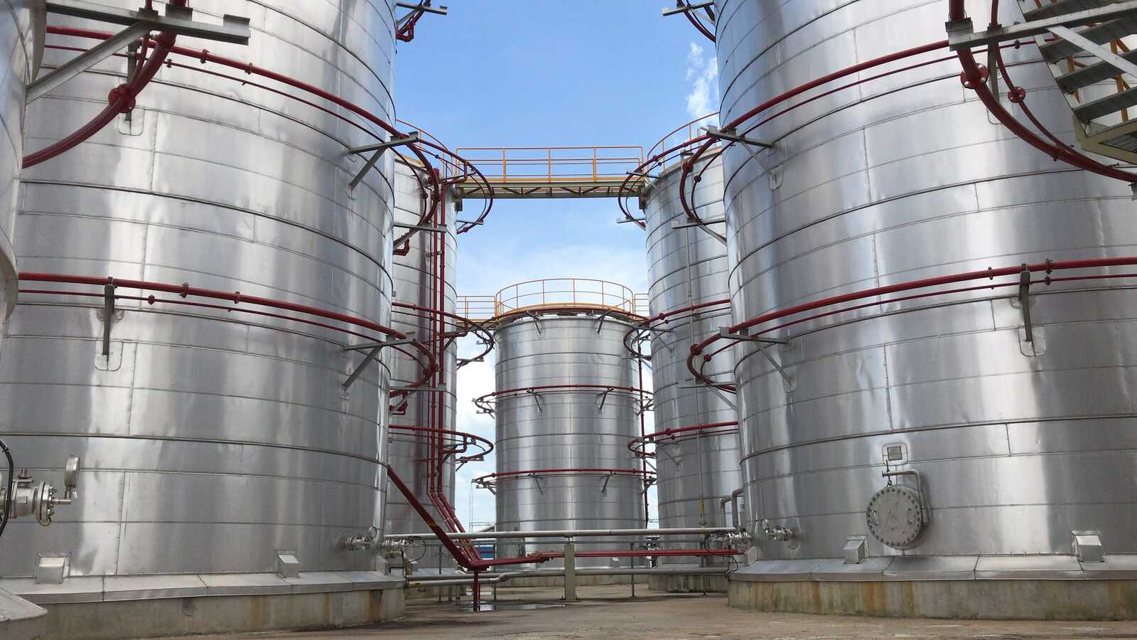 Vegetable Oils Refining in the Nederlands